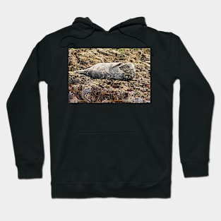 I`ll Have the Fish Please Hoodie